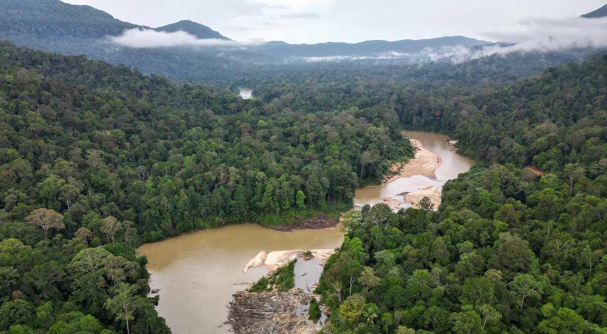 Khám phá vùng rừng cổ xưa nhất thế giới ở Malaysia