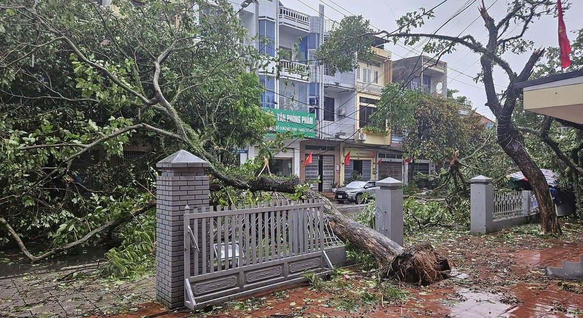 Bão Maysak tiến vào Trung Quốc, miền Bắc Việt Nam chịu mưa kéo dài